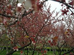 -白塘生态植物园