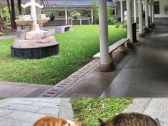 -晓港公园