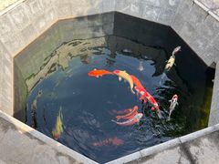 -西安市广仁寺