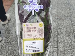 -金铂广场(龙归店)
