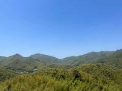 -宁波浙东大竹海景区