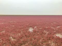 -红海滩国家风景廊道