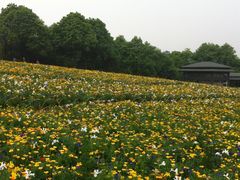 IMG_2007-保利石象湖景区