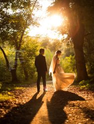 -菲林婚纱摄影工作室