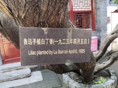 -北京鲁迅博物馆(北京新文化运动纪念馆鲁博馆区)