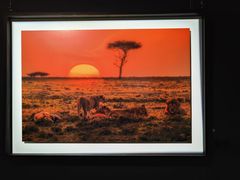 -罗红摄影艺术馆