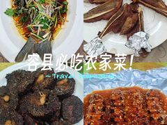 -柳周农家菜特色老店沙田柚美食(东大街店)