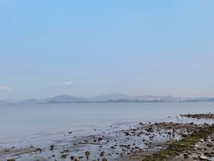 -深圳湾公园(南山区)