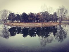 -大兴滨河森林公园