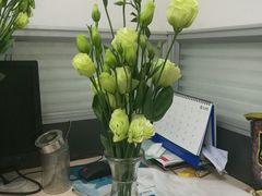 -东方红海鲜百汇(国际大厦店)