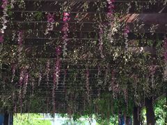 -上海望仙安息园