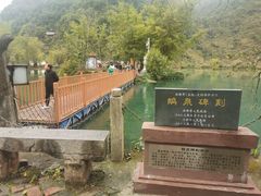 -靖西鹅泉风景区