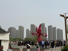 -曹州牡丹园