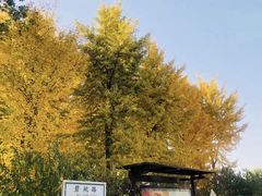 -石家庄市植物园