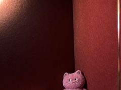 -极光点播影院·Switch.游戏馆(世界之窗店)