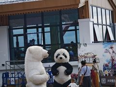 -三亚红色娘子军演艺公园景区