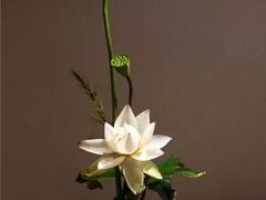 -荷兰布尔玛国际花艺学院