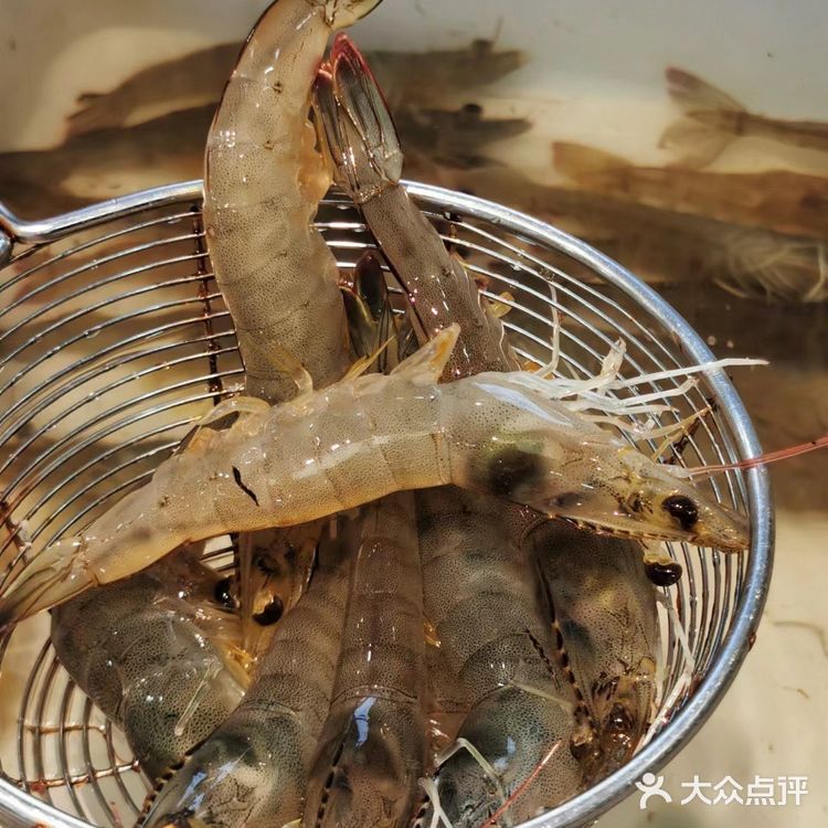 全网都在推的海鲜面我不是最后一个吃到的吧