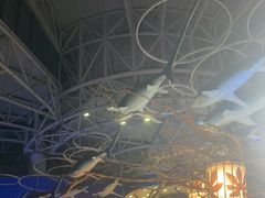 -烟台海昌鲸鲨海洋公园