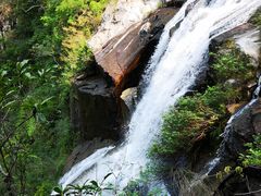 -海南热带雨林国家公园吊罗山景区