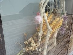 -ChaKo Flora ·茶子花艺 (市北店)