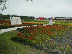 -北纬44度·金珠花海休闲农业旅游景区