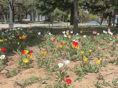 -北陵公园