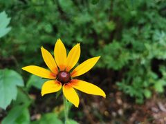 -峡谷浮石林景区