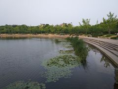 -新江湾城公园