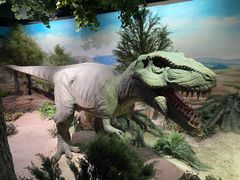 -国家自然博物馆