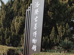 -洛阳古墓博物馆