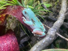 -Rabbit Cafe私房西餐甜点咖啡(栖霞路店)