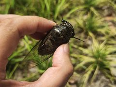 -文峰大世界(如皋店)