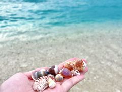 -三亚蜈支洲岛旅游区