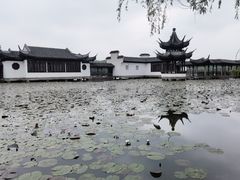 -天下玉苑