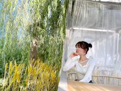 -维斯特·夜烤牛肋条任吃
