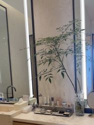 -智美品质医美