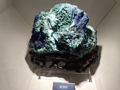 -安徽省地质博物馆