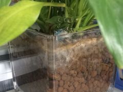 -牛记皇·鲜牛肉火锅(弘阳广场店)