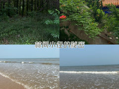 -日照海滨国家森林公园