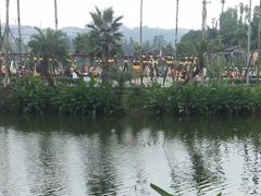 -枫香湖儿童公园