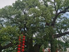 -新安江山水画廊风景区