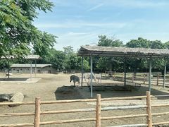 -西安秦岭野生动物园