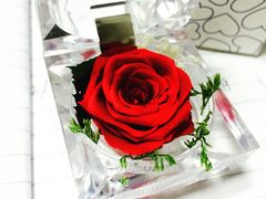 -MoMo牧场·寿喜烧专门店(长泰广场店)