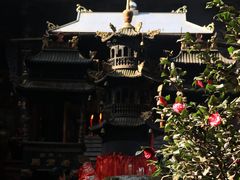 -青城山