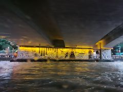 -运河游船(武林门码头)