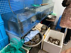 -小本鸡饭店(滨江白马湖店)