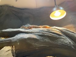 -Zoolung Zoolung动物主题公园(海信广场店)