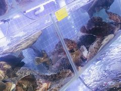 -77号渔船·蒸海鲜青岛菜(积米崖店)