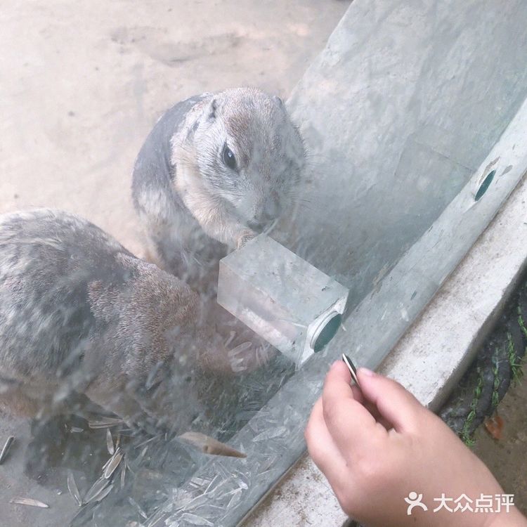 乐ZOO亲子游必去，北京周末娃放电好去处！